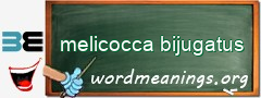 WordMeaning blackboard for melicocca bijugatus